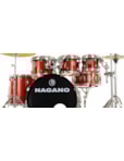 BATERIA NAGANO GARAGE FUSION 20 WINE SPARKLE BAT