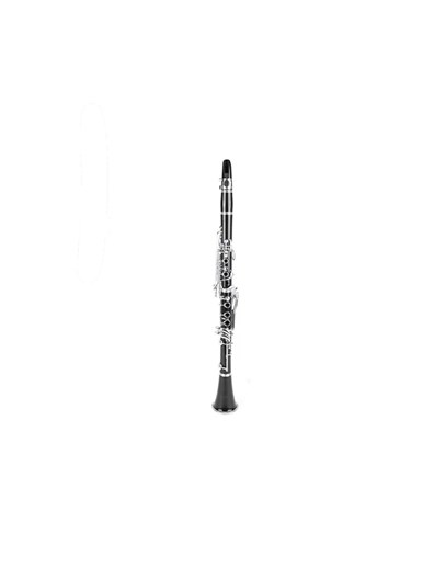CLARINETE PARROT 17 CHAVES USA