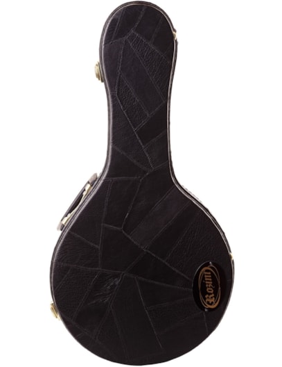 ESTOJO/CASE ROZINI BANJO RAE07