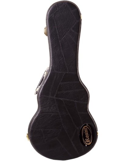 ESTOJO/CASE ROZINI CAVACO RAE03