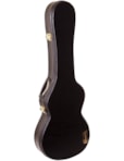 ESTOJO/CASE ROZINI VIOLA CLASSICA RAE06