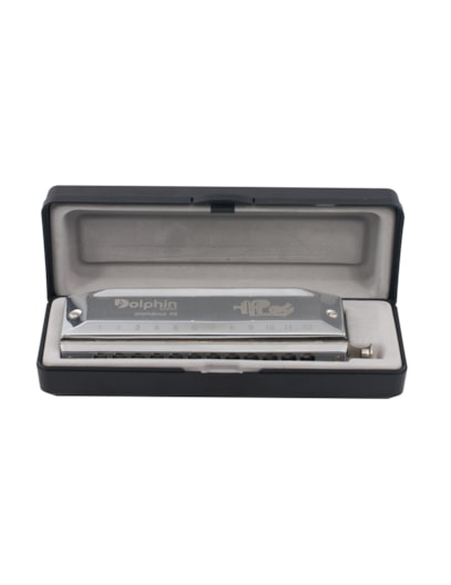 GAITA DOLPHIN CROMATICA 48 VOZES IZ6405