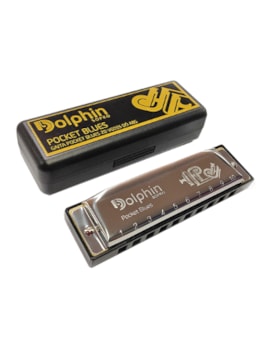 GAITA DOLPHIN POCKET BLUES 20 VOZES EM DO IZ6406