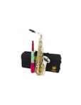 SAX ALTO JAHNKE JSAH001NQLQ EB NIQUELADO CHAVES LAQUEADAS