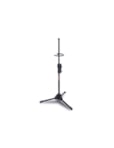 SUPORTE IBOX TROMBONE DE VARA STB30