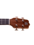 UKULELE ROZINI ESTUDANTE CONCERTO AC RU02AC 2131