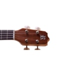 UKULELE ROZINI STUDIO CONCERTO AC T MACICO RU04AC 2133