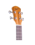 UKULELE WINNER CONCERT 23 SAPELE LAMINADO 11023