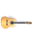 VIOLA ROZINI INEZITA BARROSO ACUSTICA NATURAL 2103