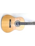 VIOLA ROZINI INEZITA BARROSO ACUSTICA NATURAL 2103