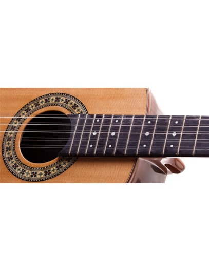 VIOLA ROZINI PROFISSIONAL NESTOR DA VIOLA ACUSTICO TAMPO MACIÇO RV161AC