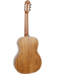 VIOLÃO GIANNINI ELETROACUSTICO NAILON PAU FERRO NATURAL NW1 PAFE EQNS 23539