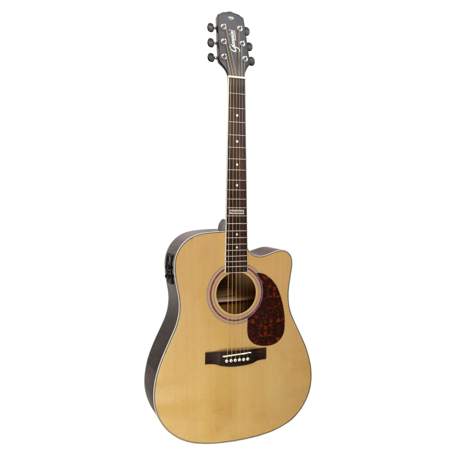 Giannini on sale performance guitar