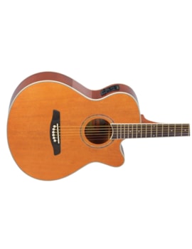 VIOLAO STRINBERG BERLIN ELETRICO ACO CUTWAY MOGNO BE30CMG 13114 VIOLAO STRINBERG BERLIN ELETRICO ACO CUTWAY MOGNO BE30CMG 13114
