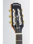 VIOLAO STRINBERG VIENNA ELETRICO NYLON CUTWAY NATURAL VE30CN 12669