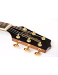 VIOLAO TAKAMINE ACO NATURAL GN51CEN